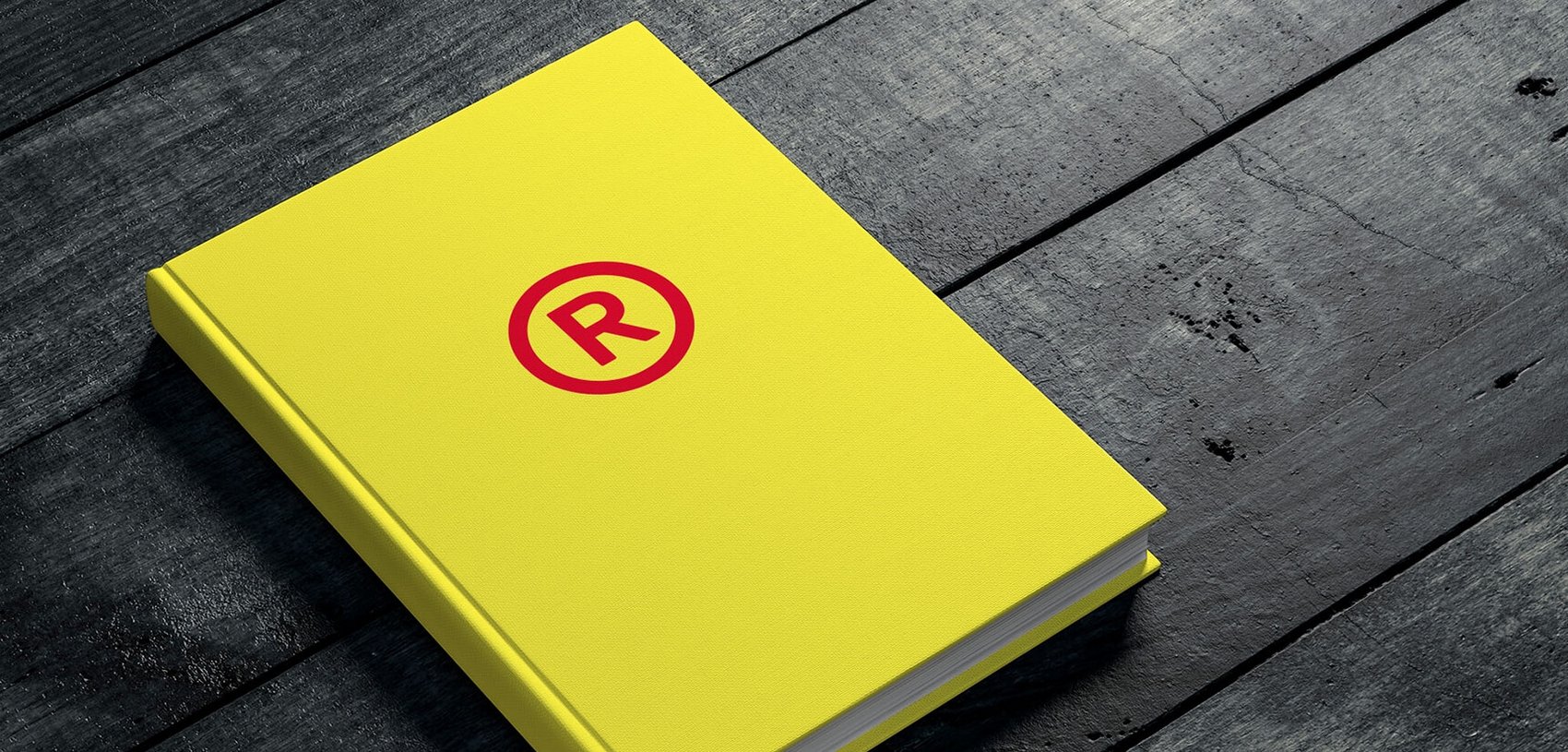 Printmedium gelbes Buch mit RIEGG-Logo