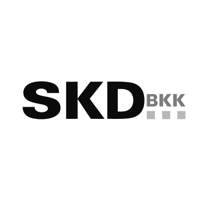 Riegg Markenkommunikation - Referenzen - SKD BKK
